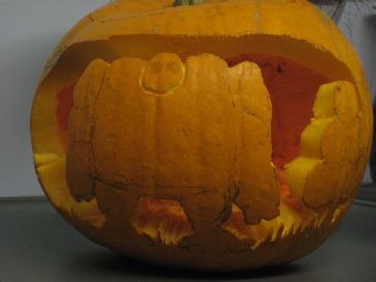 Illustration for article titled Kotaku's Super Huge Pumpkin Patch (Part Two)